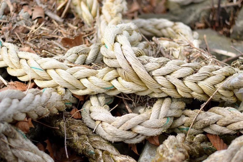 Paracord Bracelet Designs: A Buyer's Guide to Top Picks